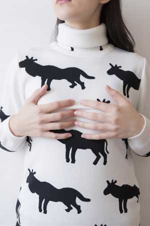 セーターのフリー写真素材