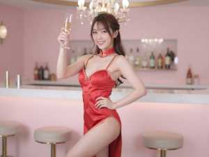 豪華バーでの乾杯