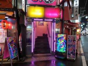 夜の日本料理レストランのネオンに照らされた入り口を写実的に描写。