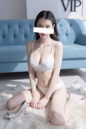 白レースの美しいポートレート素材