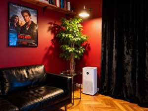 赤い壁と右側に黒いベルベットのカーテンがある居心地の良いリビング ルーム。